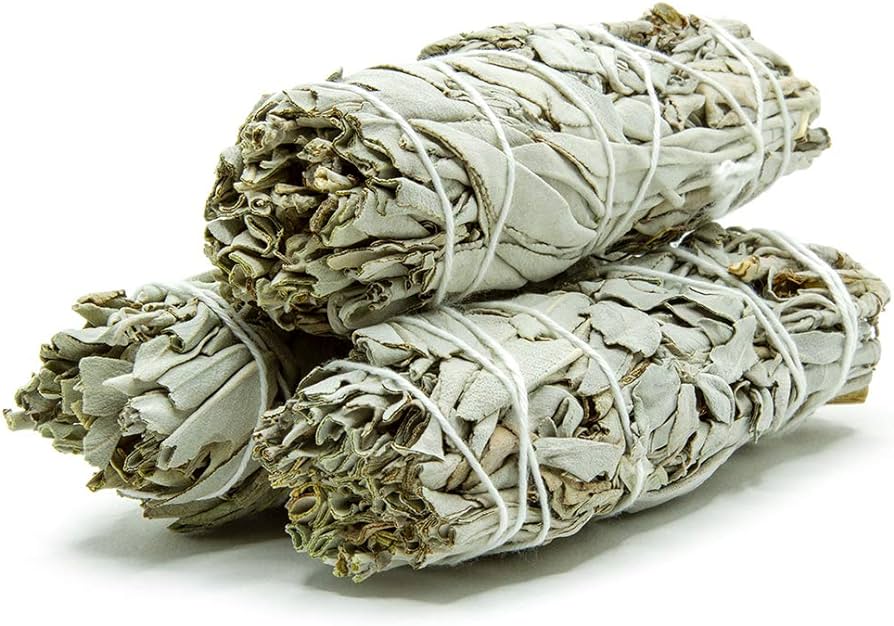 Dried White Sage