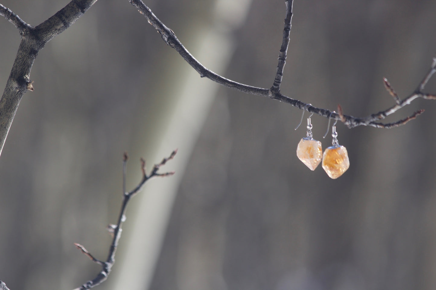 Raw Gemstone Dangle Earrings