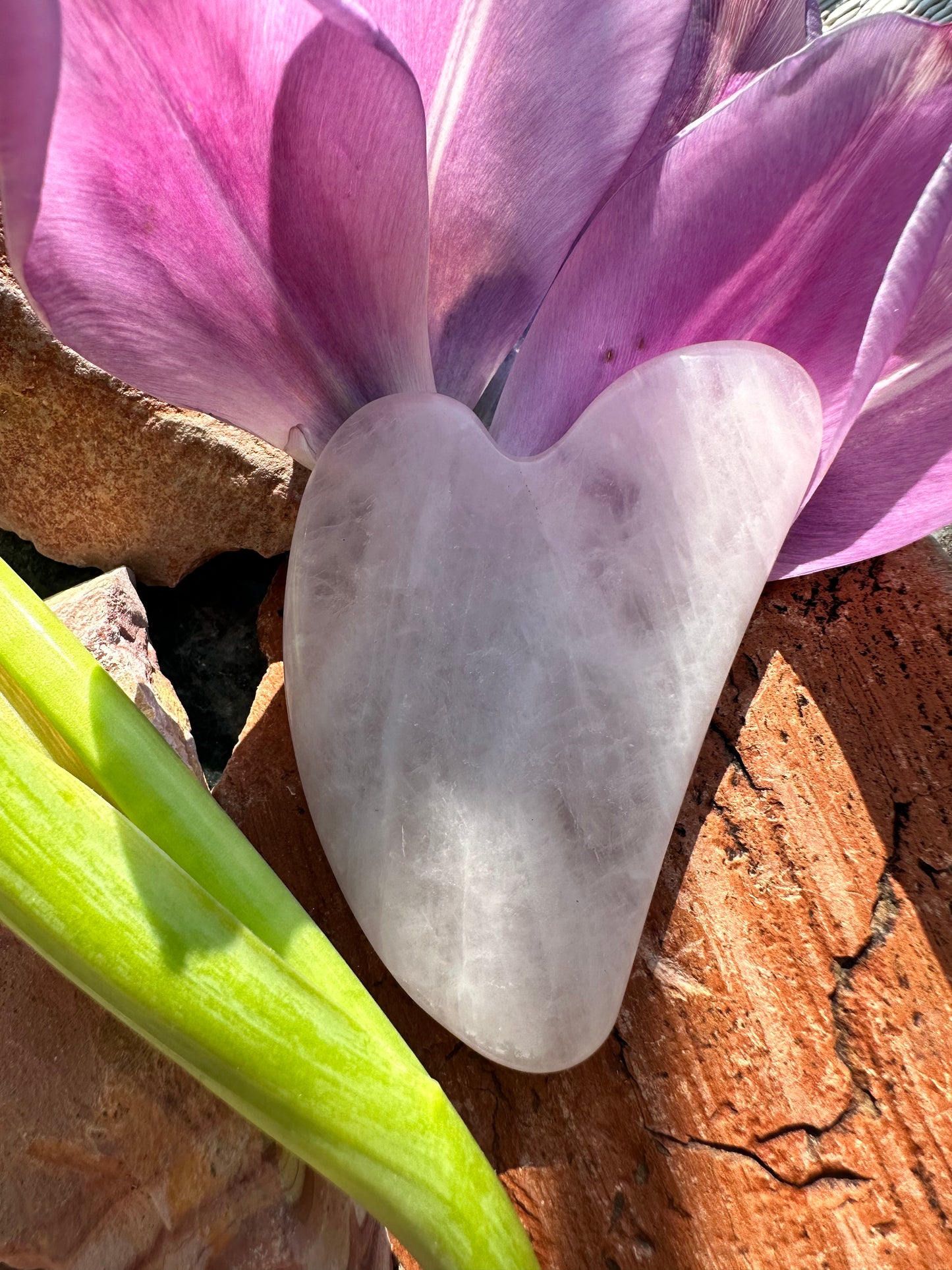 Gua Sha