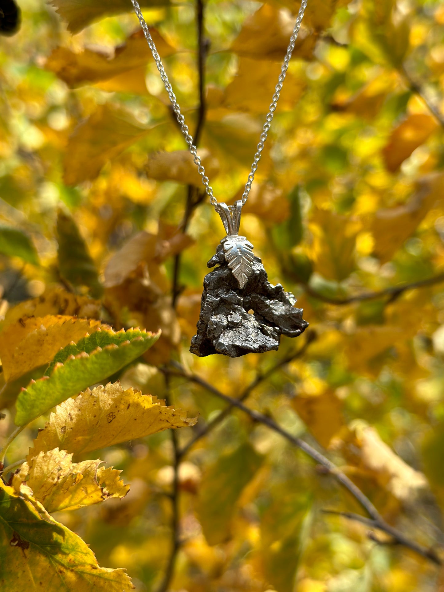 Meteorite Necklace (Campo del Cielo)