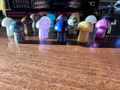 Mini Mushroom Gemstones