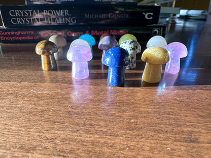 Mini Mushroom Gemstones
