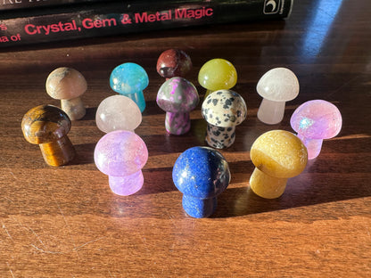 Mini Mushroom Gemstones