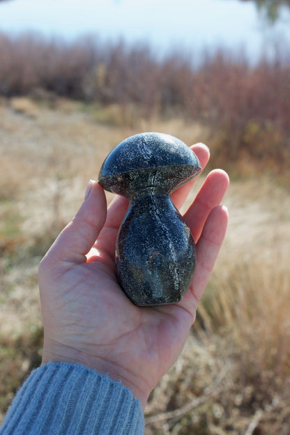 Ocean Jasper Mushroom