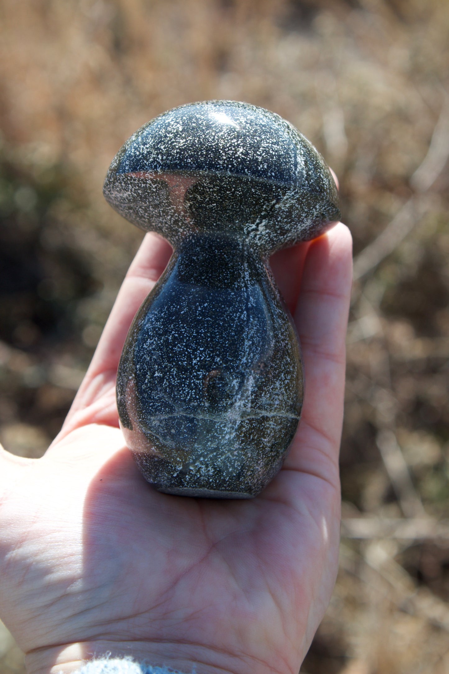 Ocean Jasper Mushroom