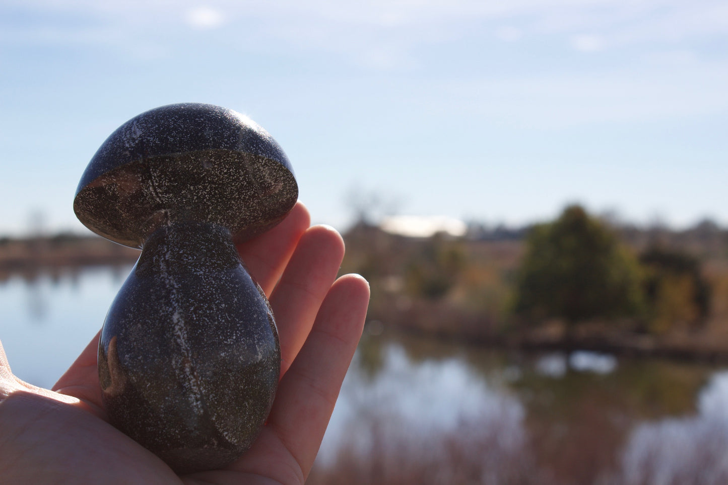 Ocean Jasper Mushroom