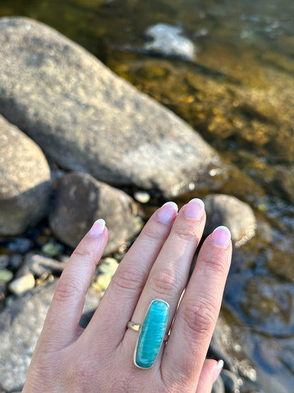 The Healing Warrior Ring
